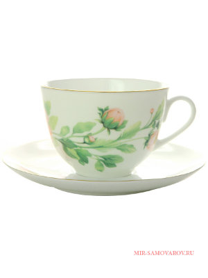 Чашка с блюдцем форма Весенняя-2 рисунок Нежный пион (зеленый) ИФЗ